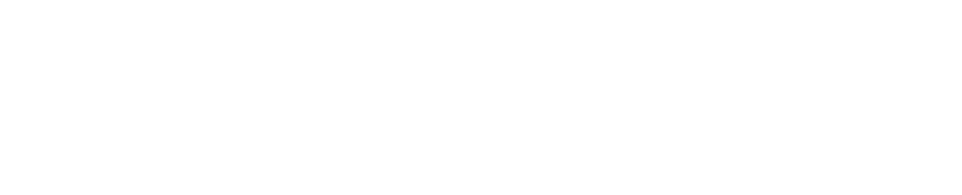 Manifesto